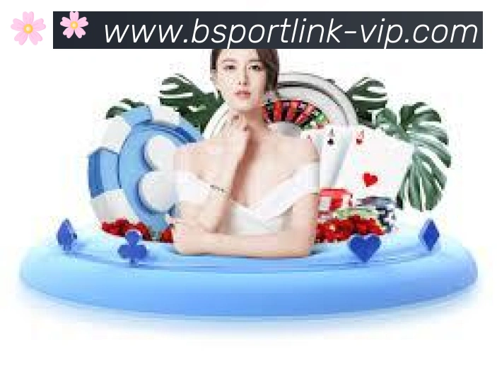 Bsports官网荣誉