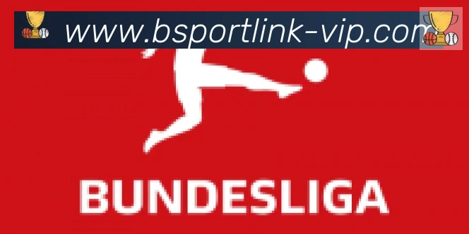 Bsports官网合作伙伴