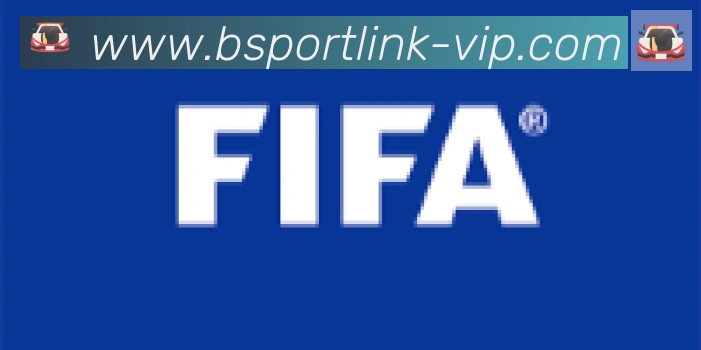 Bsports官网合作伙伴